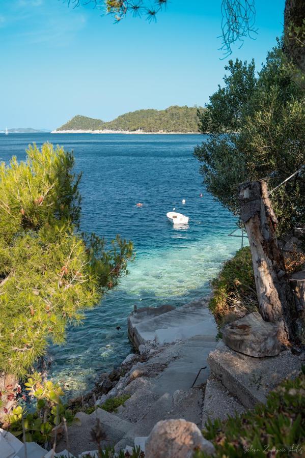 Apartments Lastovo Silic エクステリア 写真